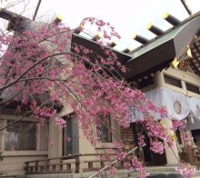 烈々布神社