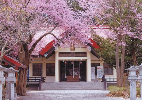 豊栄神社 社殿正面